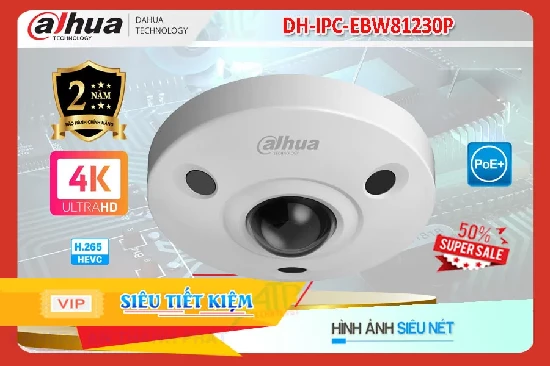 Lắp đặt camera tân phú ✪  Camera An Ninh  Dahua DH-IPC-EBW81230P Tiết Kiệm