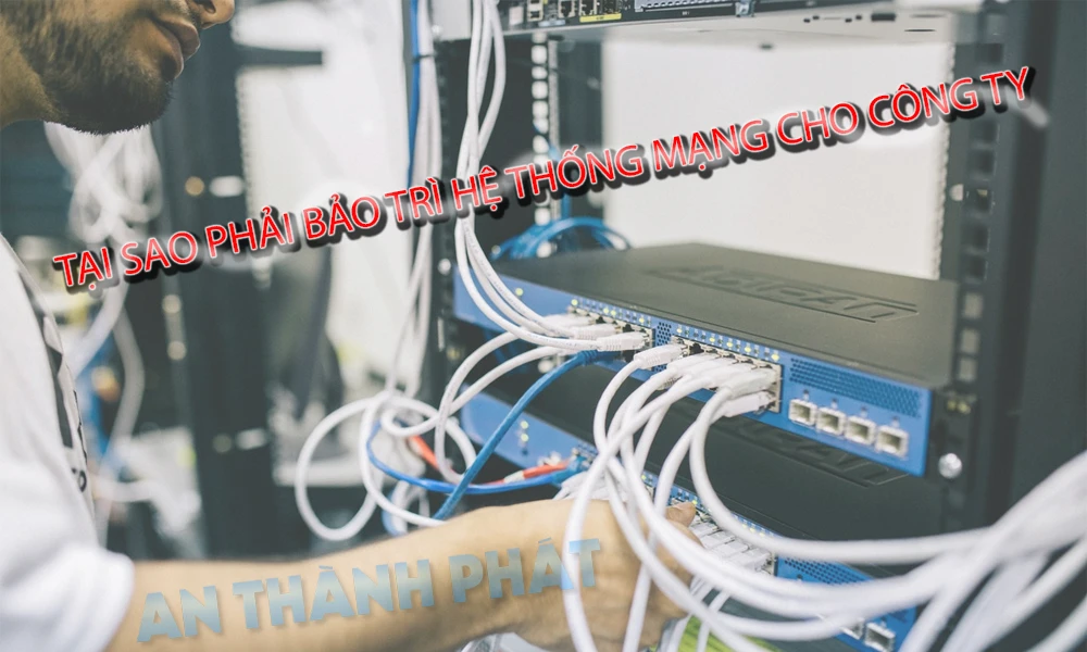 Dịch Vụ Thuê It Quận Tân Phú